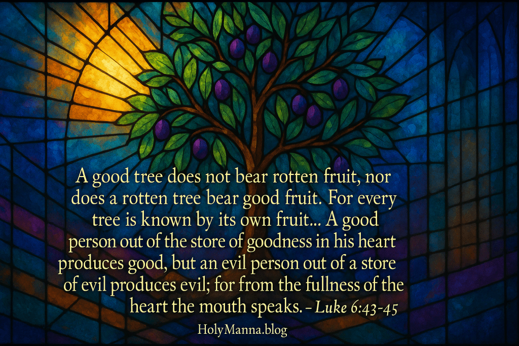 September 13, 2025 – From Mercy to Mission in Today’s Mass Readings