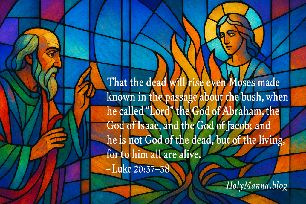 November 22, 2025 – Singing in the Dark in Today’s Mass&nbsp;Readings